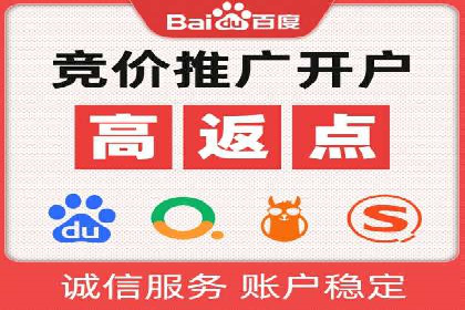 百度竞价代理的运营策略与成功案例分析
